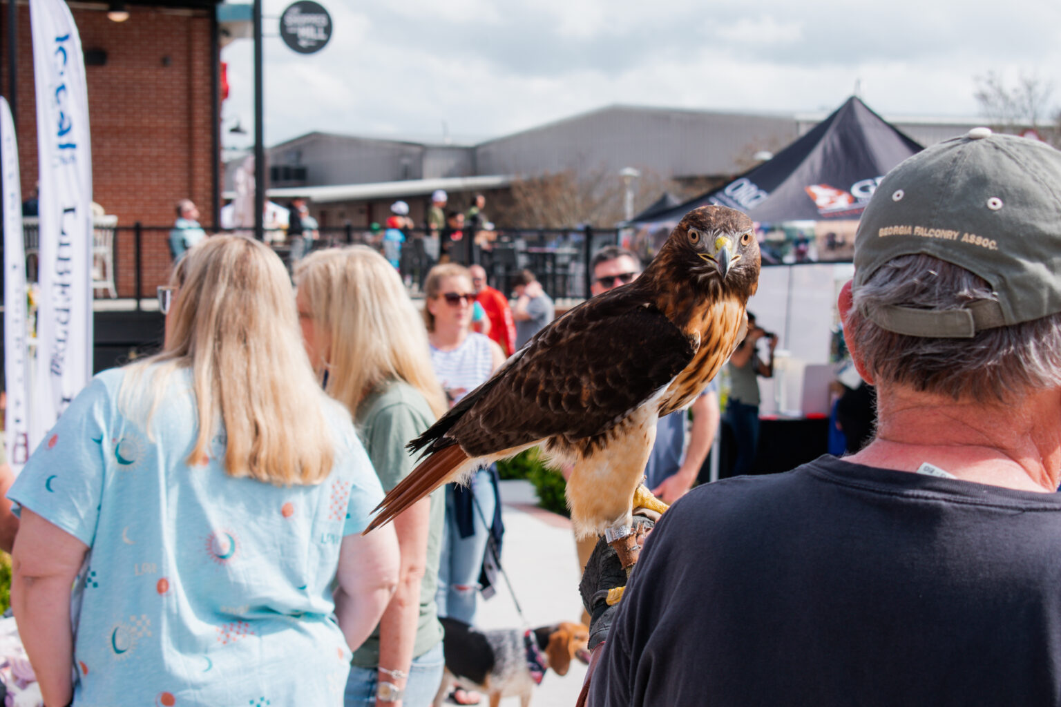 Etowah Wildlife Expo